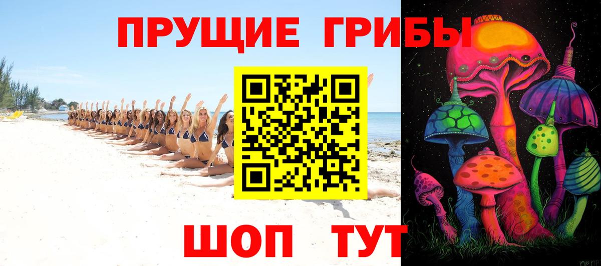 Ишимбай  Псилоцибиновые грибы MAGIC MUSHROOMS  Галлюциногенные грибы GOLDEN TEACHER  Вход с VPN 